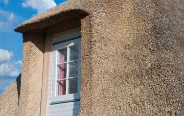 Stanfree thatch roof disadvantages